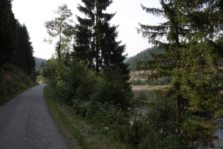 Mündung der Kalbe in den Okerstausee