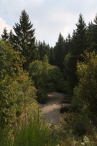 das Kellwasser, Blick flussaufwärts