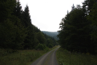Blick Richtung Torfhaus