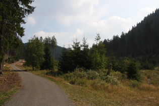 steile Rampe im Verlauf der Kellwasserstraße