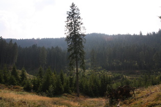 Blick auf die "Steile Wand"