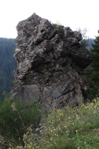 Zoom auf den Felsen