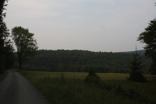 zunehmende Eintrübung, oberhalb Molkenhaus