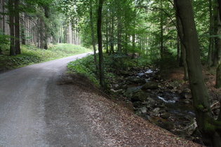 Weg im Ilsetal und Ilse