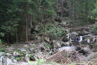 steiler Flussabschnitt der Ilse