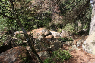 die "Verdeckte Ilse" Blick flussabwärts