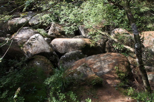 die "Verdeckte Ilse" Blick flussaufwärts