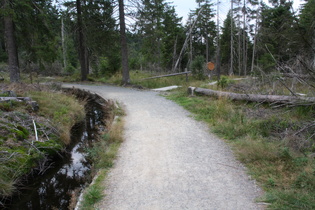 Abbergraben östlich vom Torfhausmoor