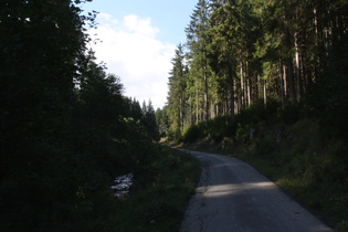 schon recht lange Schatten im Riesenbachtal