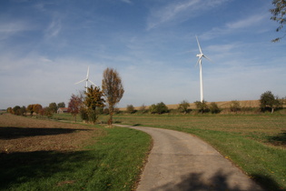 herbstliche Agrarsteppe nördlich von Dassensen