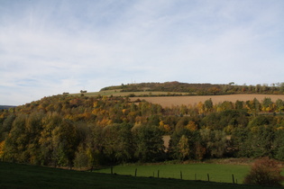 Blick vom Ellenser Wald auf den Bierberg