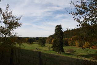 die Seutebornwiese mit der Bremke