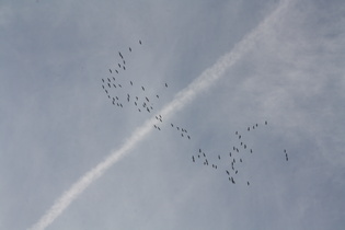 reger Flugverkehr über dem Solling