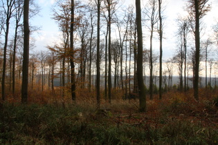 Blick vom Kammweg nach Südwesten