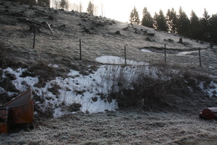 Reif auf dem Mühlenberg in Altenau