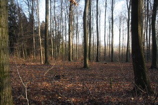 Blick vom Benther Berg nach Nordosten