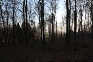 Blick vom Benther Berg nach Südosten