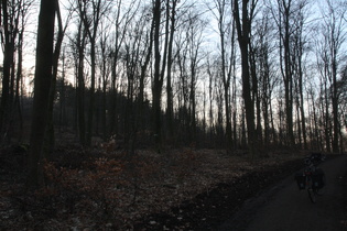 Benther Berg, links die Nordflanke des Gipfels