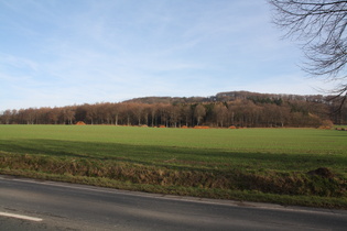 zwischen Northen und Everloh, Blick zum Benther Berg