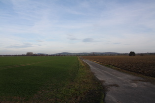 zwischen Leveste und Egestorf, Blick zum Gehrdener Berg