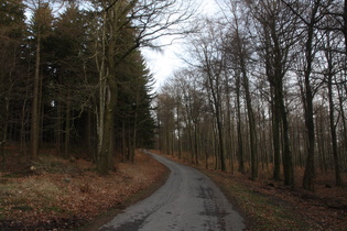 Kammweg, Steilstück zwischen Nienstedter Pass und Hohe Warte