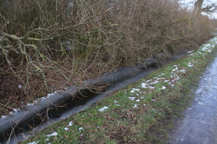 Winterreste südlich von Velber