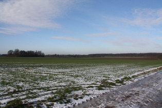 zwischen Hannover und Lenthe, Blick nach Nordwesten