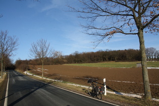 am Stemmer Berg, Südflanke, Blick bergauf …