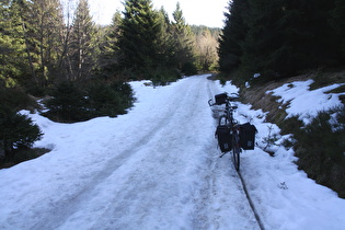 Abfahrt von Torfhaus durch den Wald — ein Fehler an diesem Tag!