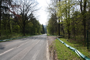 die Kröten sind wohl wieder unterwegs