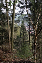 zwischen Sternplatz und Lautenthal, Blick auf Lautenthal