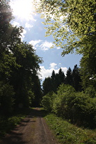 weiter oben zwischen Bahnhof Egestorf und Hohe Warte