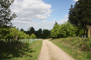 Hohe Warte, Blick nach Nordosten