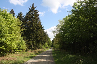 Kammweg zwischen Hohe Warte und Höfeler