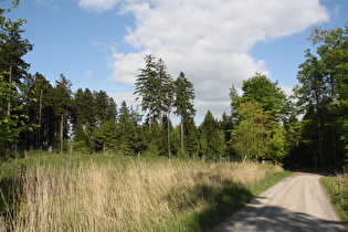 Blick vom Kammweg zur Laube