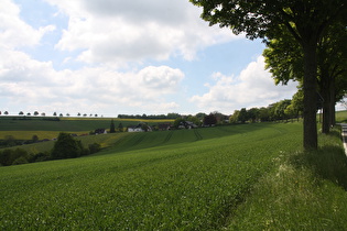 nördlich von Kleinenberg, Blick über Kleinenberg nach Süden …