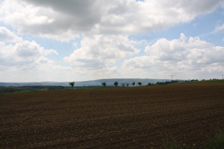 nördlich von Baarsen, Blick nach Westen …