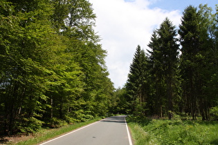 irgendwo zwischen Falkenhagen und Köterberg (Lügde)