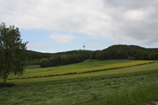 etwas weiter Richutng Fürstenau, Blick zum Köterberg