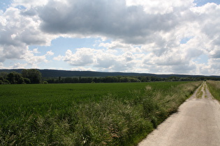 westlich von Wennigsen, Blick zumDeister