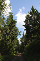 Steilstück bei den Hirschköpfen, Blick bergaub …