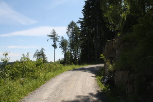 Weg oberhalb der Steinernen Renne, Blick nach Süden