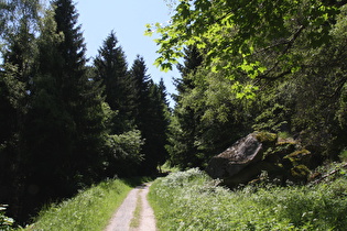 schmaler Pfad unterhalb der Renneklippe