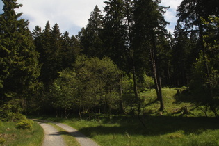 Erdbeerkopf, Nordhang