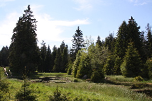 Jakobsbruch, Blick nach Nordwesten