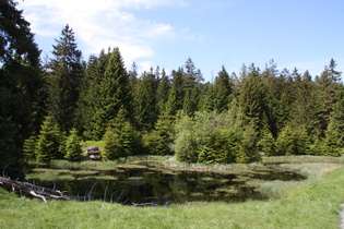 Jakobsbruch, Blick nach Norden