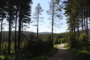 Glashüttenweg, Blick zum Brocken