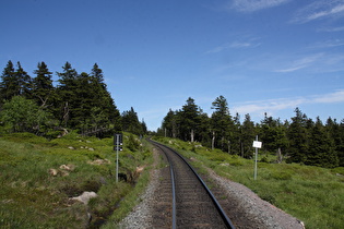 auf über 1000 m ü.NHN Blick entlang der "Meterspur" nach Osten