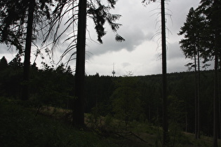 Blick zum Fernmeldeturm auf dem Großen Hals