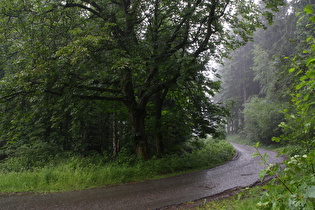 immer noch Regen